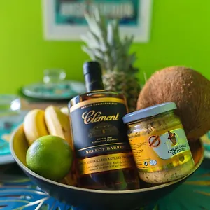 https://la-villa-ixoras.comcaribbean.com