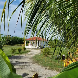 https://fleur-dhibiscus.comcaribbean.com
